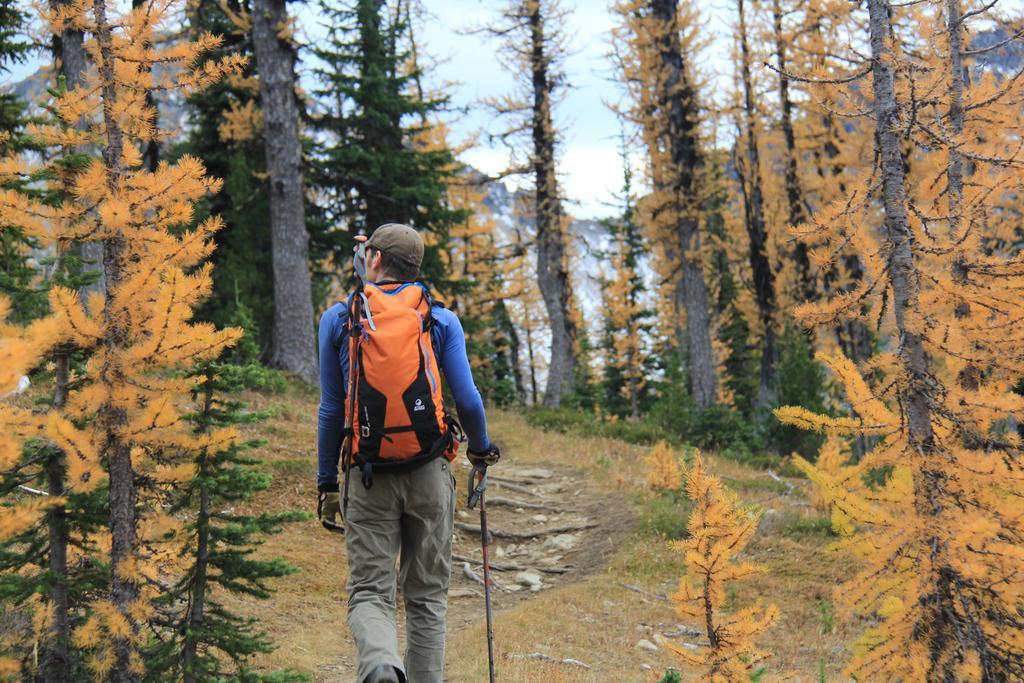 Manning Park Resort Экстерьер фото